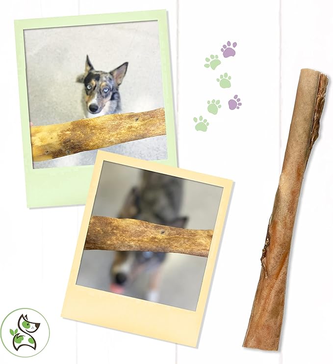 Nature Gnaws - Hide Sticks for Dogs - Premium Natural Beef Dental Bones - Long Lasting Dog Chew Treats for Aggressive Chewers - Puppy Training Reward (Pack of 2)