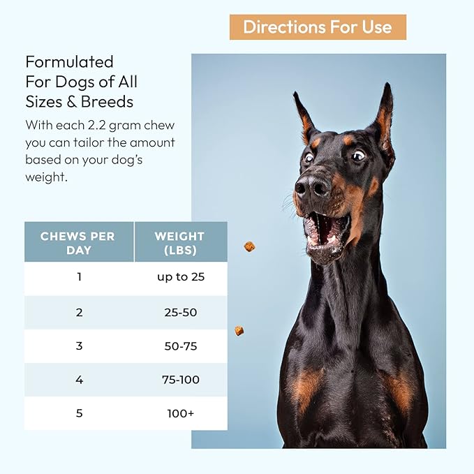 Gnawty Bites Biome Balance | Dog Digestive Support, 120 Soft Chews for Intestinal Balance Support | Dog Probiotics with Amylase, Protease, Lipase, and Lactobacillus | Probiotics for Dogs | (264 G)