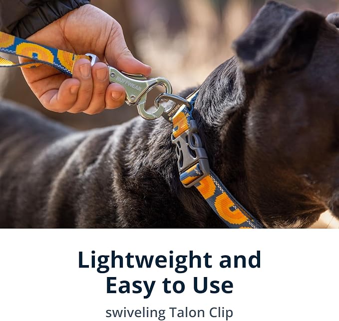 Ruffwear, Crag Dog Leash, Hand-Held or Waist-Worn Reflective with Traffic Handle, Grassy Oxbow