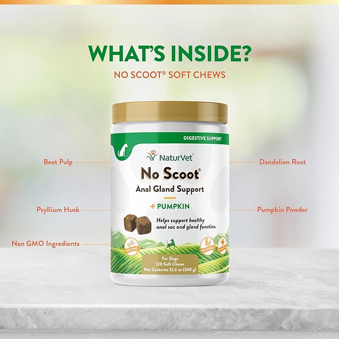 NaturVet - No Scoot for Dogs - 120 Soft Chews - Plus Pumpkin - Supports Healthy Anal Gland & Bowel Function - Enhanced with Beet Pulp & Psyllium Husk