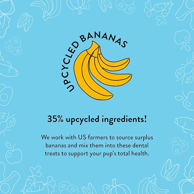 Shameless Pets Dental Treats for Dogs, Banana Bone-Anza (32 Sticks) - Dental Sticks with Hip & Joint Support for Teeth Cleaning & Fresh Breath - Dog Bones Dental Chews Free from Grain, Corn & Soy