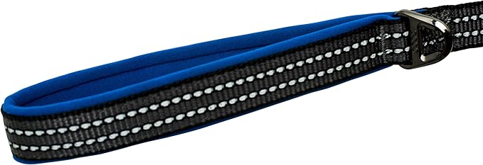 Franklin Pet Supply Nylon Dog Leash – Reflective – Comfort Fit – Neoprene Handle – 6 Foot – Dog Training – Walking – Blue