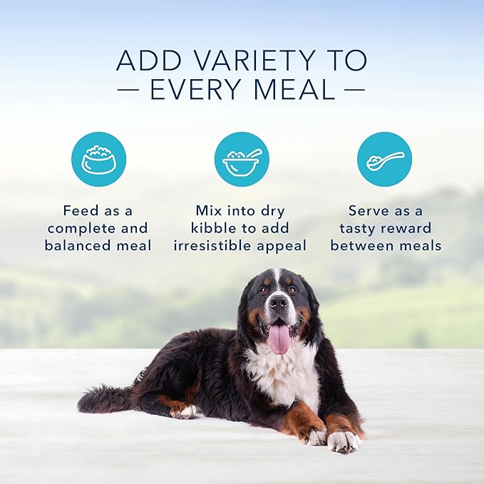 Blue Buffalo Homestyle Recipe Natural Adult Large Breed Wet Dog Food, Chicken 12.5 oz cans (Pack of 12)