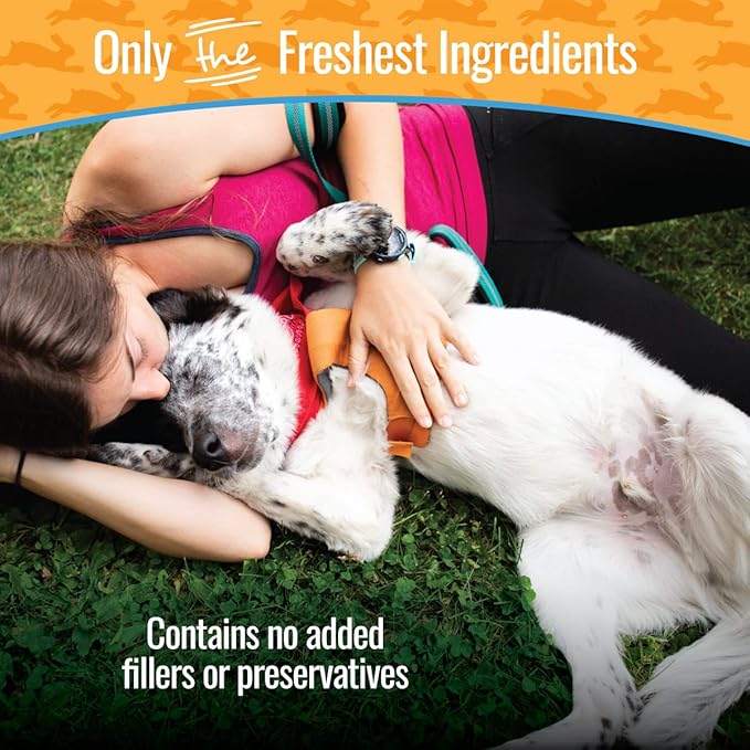 Single Ingredient Rabbit Jerky Dog Treats - Bite Size Training Treats for Dogs and Puppies with Allergies and Sensitive Stomachs - Dehydrated, 100% Meat, Made in USA - 3oz, Pack of 1