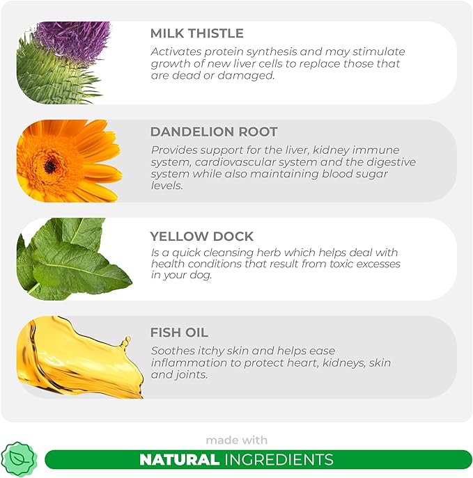 Milk Thistle for Dogs - 120 Chewable Tablets - Silymarin - Liver and Kidney Support for Dogs with EPA & DHA - Detox for Dogs - Liver Supplement for Dogs with Choline and L-Arginine