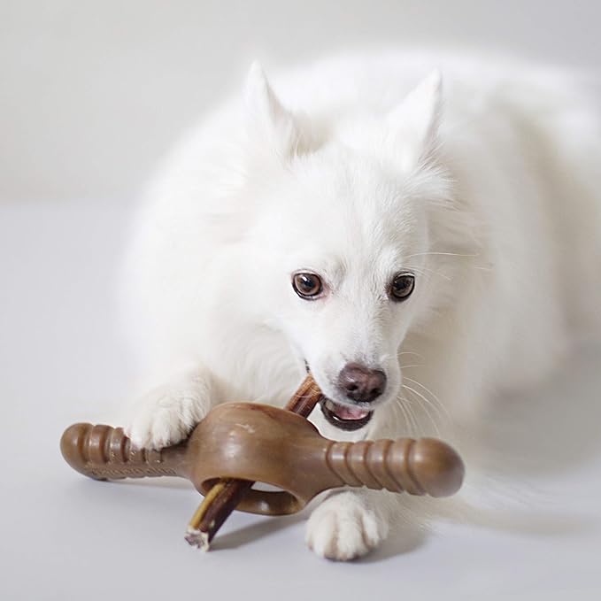 Benebone Pawplexer Interactive Treat Dispensing Tough Dog Puzzle Chew Toy, Made in USA, Medium, Real Bacon Flavor