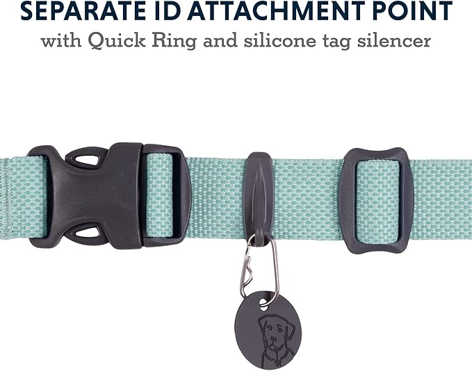 Ruffwear, Hi & Light Dog Collar, Minimal and Ultralight Collar for Everyday Walks and Runs, Sage Green, 20"-26"