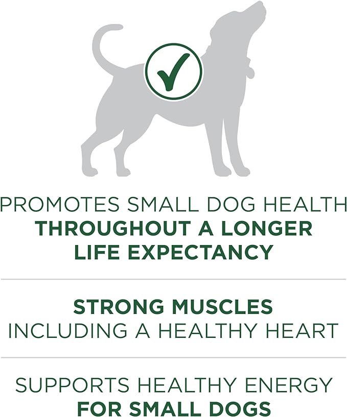 Purina ONE Plus Small Breed Lamb and Rice Formula Dry Dog Food - 3.8 lb. Bag