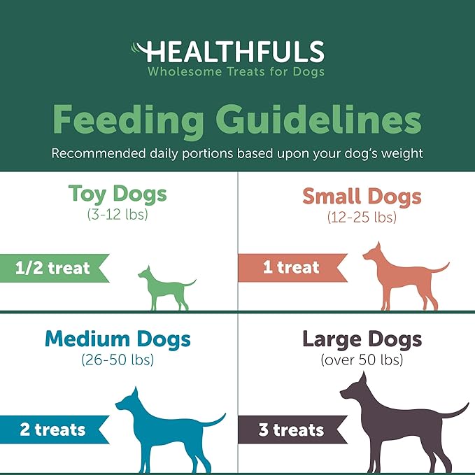 WESTMINSTER PET PRODUCTS Healthfuls Chicken Jerky Dog Treats, 20oz