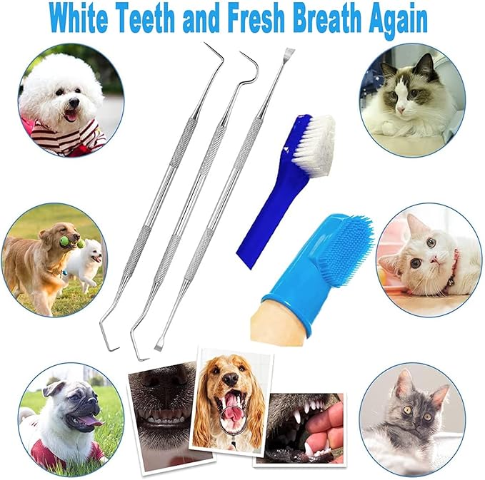 8 Pack Dog Teeth Cleaning Tools Plaque Remover, Dog Tooth Brushing Kit Include 3 Different Stainless Steel Dog Tooth Scraper and 2 Dog Toothbrush and 3 Dog Finger Toothbrush