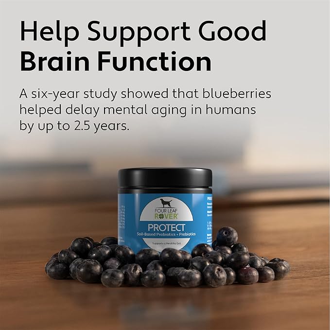 Protect - Soil-Based Probiotics for Dogs with Food-Based Prebiotics for Gut Health and Immune Support - 12 to 60 Day Supply, Depending on Dog’s Weight - Vet Formulated