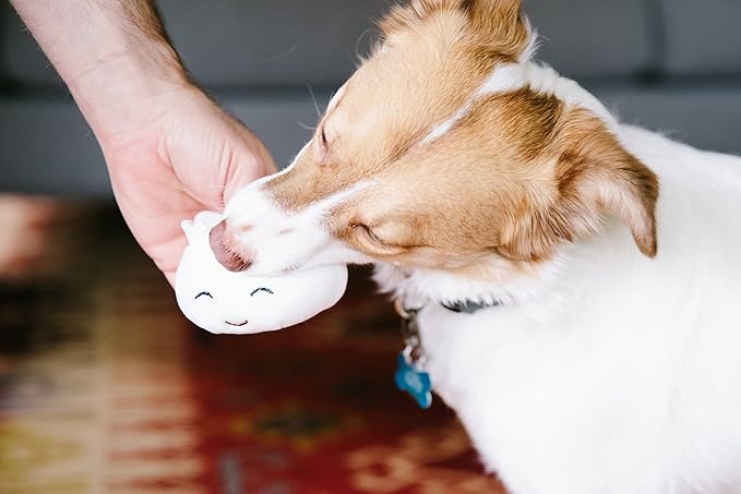 Pearhead Dim Sum Pet Toys, Squeaky Dog Toy Set, Pet Owner Must Have Dog Accessory, Set of 3, All Breed Sizes, White