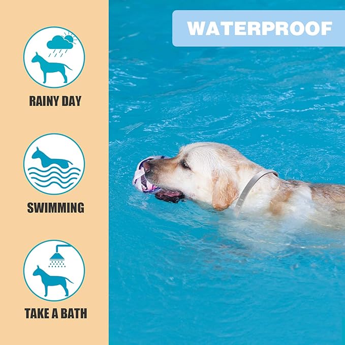 Flea and Tick Collar for Dogs,2 Pack,Natural Flea and Tick Prevention for Dogs,8 Months Protection,One Size Fits All Dogs,Adjustable & Waterproof,Include Flea Comb