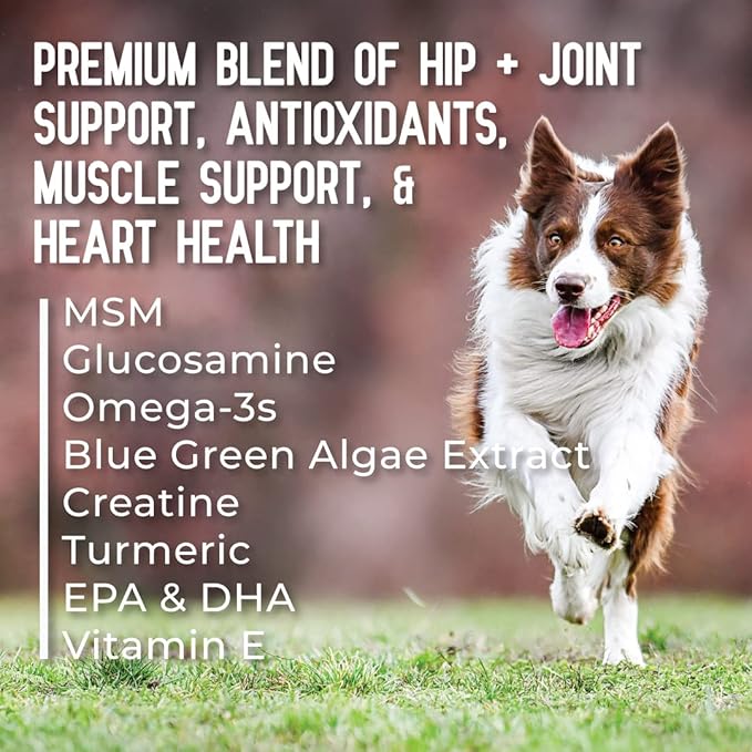 Hip + Joint Supplement with Glucosamine, MSM, Omega 3s, and Turmeric, Normal Inflammatory Response, Antioxidants, Made in USA, For Dogs , 75 ct
