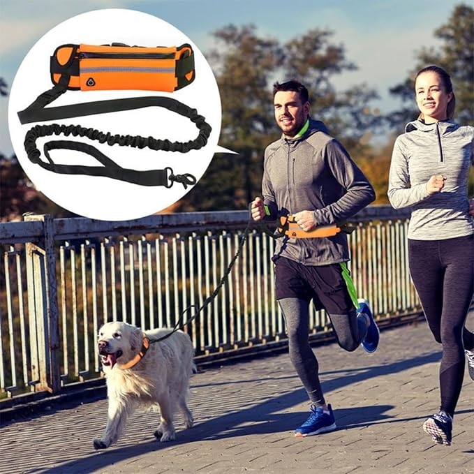 Hands Free Dog Leash with Pouch,Adjustable Waist Belt Fanny Pack Dual-Handle Reflective Bungee Leash for Medium to Large Dogs for Running Walking Training Jogging,Orange