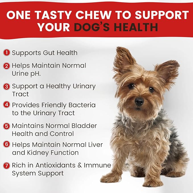 Cranberry Supplement for Dogs | Urinary Tract and UTI Support Chews | Incontinence and Bladder Control Nutritional Bites with D Mannose, Marshmallow Root, Probiotics, for Liver, Kidney