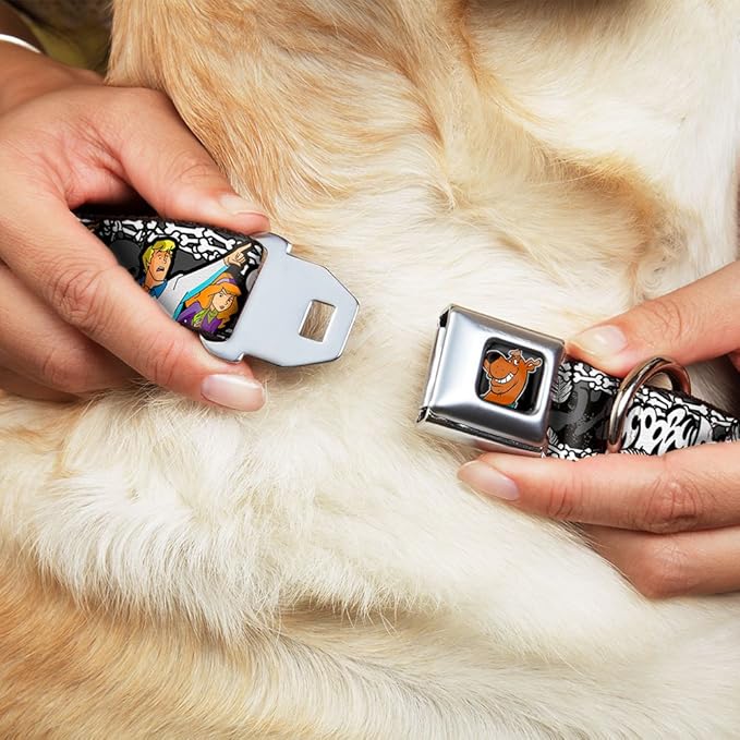 Buckle-Down Seatbelt Buckle Dog Collar - SCOOBY DOO Group Pose/Bones - 1" Wide - Fits 9-15" Neck - Small