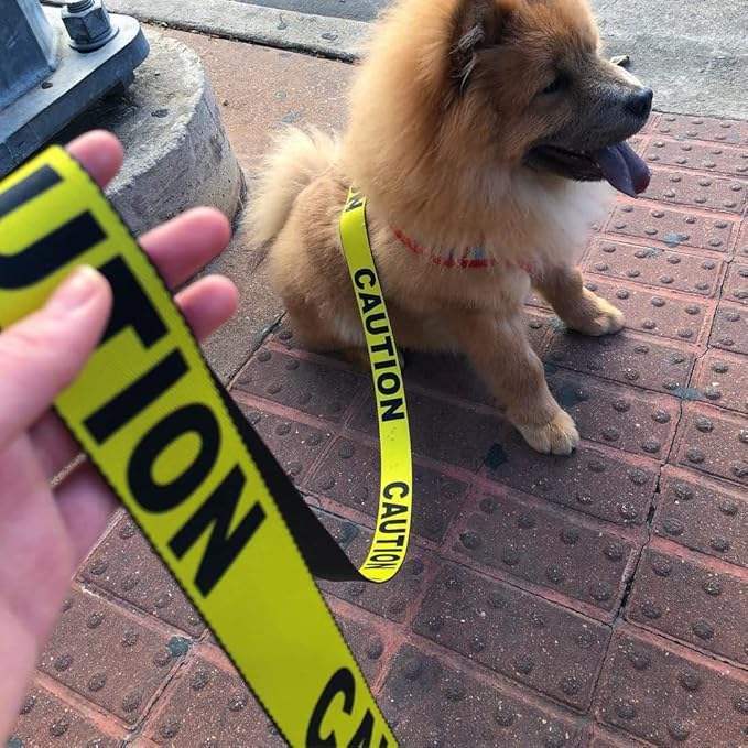 Dog Leash Caution Yellow Black 6 Feet Long 1.0 Inch Wide