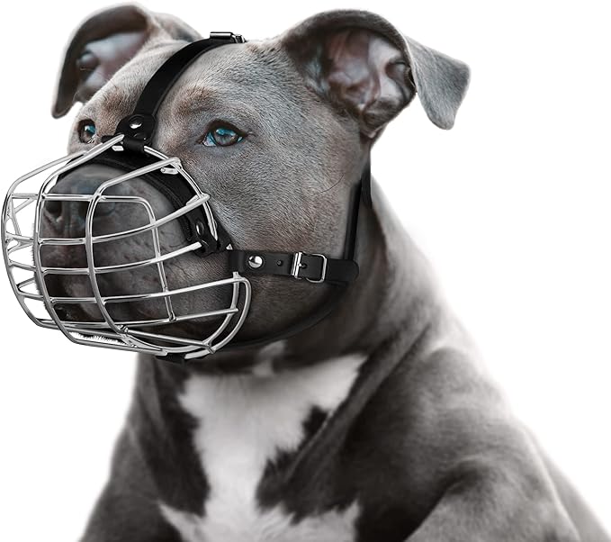Pitbull Dog Muzzle Metal Mask Amstaff Secure Wire Basket Adjustable Durable Leather Straps for Large Dogs (Steel)