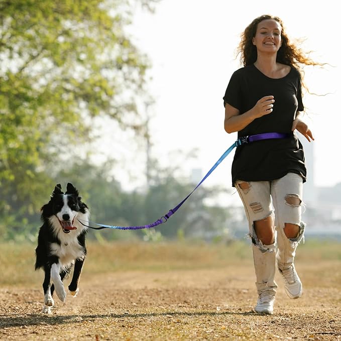Roses&Poetry Hands Free Dog Leash Heavy Duty,No Pull Bungee Dog Running Waist Leash for Walking Training with Car Seatbelt 4-6FT