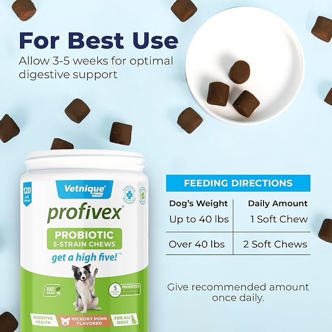 Vetnique Labs Profivex Probiotics for Dogs All Natural Dog Chews & Powder for Digestive Health Probiotic Supplements for Dogs 5 Strains of Probiotics & Prebiotics (Soft Chews, 120ct)