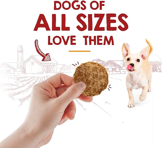 Riley's Waffles Chicken Chips for Dogs - USA Sourced Chicken Dog Treats Single Ingredient - Dehydrated Chicken Jerky for Dogs Made in USA - 6 oz