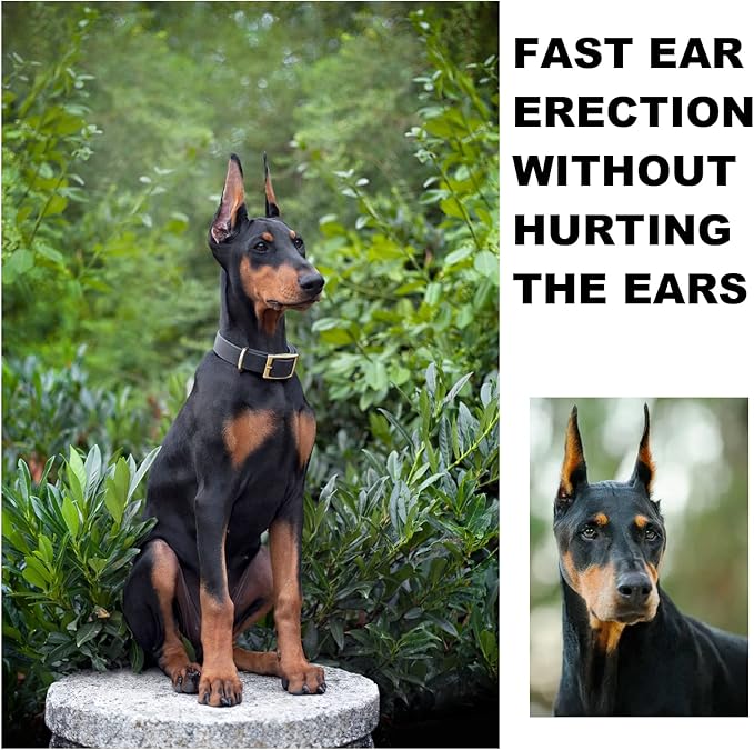 ziyue Doberman Dog Ear Posting Kit, Dog Ear Stand Up Support Tool, Dog Ear Tap for Doberman Pinscher Dog