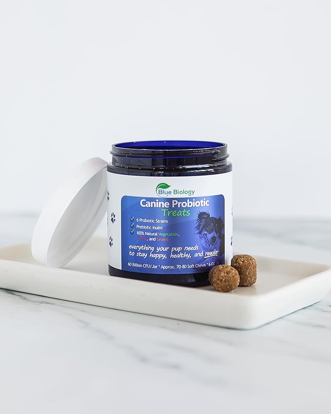 Canine Probiotic Chews for Dogs - Vet Formulated for Digestive & Diarrhea Support - Dog Probiotics for Diarrhea - Probiotics Dog Treats - Dog Digestive Support - Canine Probiotic - (60ct)