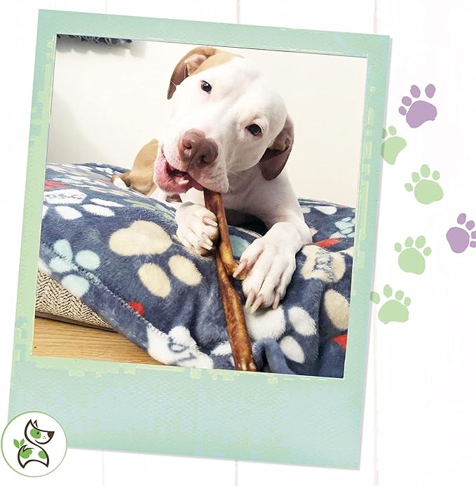 Nature Gnaws Bully Sticks for Dogs - Premium Natural Beef Dental Bones - Long Lasting Dog Chew Treats for Aggressive Chewers - Rawhide Free - Mixed Thickness 11-12"