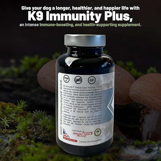 K9 Immunity, Immune Support Supplement for Dogs, Organic and Mushroom Enhanced Dog Health Supplies, Pack of 1, 90 Capsules Each