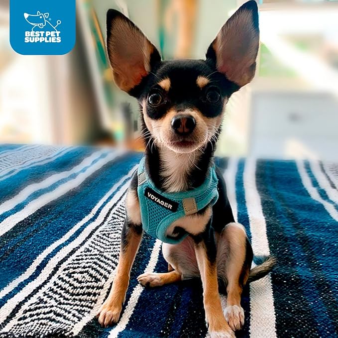 Voyager Step-in Air Dog Harness - All Weather Mesh Step in Vest Harness for Small and Medium Dogs and Cats by Best Pet Supplies - Harness (Baby Blue), XXX-Small