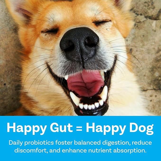 Dog Probiotics, Honey Chicken Flavor, 120 Soft Chews for Digestive & Gut Health, Immune Support Supplement, Gas Relief, Anti-Diarrhea, Helps with Allergies, Upset Stomachs, Yeast and Itchy Skin