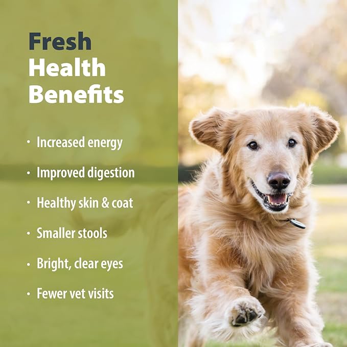JustFoodForDogs Frozen Fresh Dog Food, Complete Meal or Dog Food Topper, Chicken & White Rice Human Grade Dog Food Recipe, 72 oz (Pack of 7)