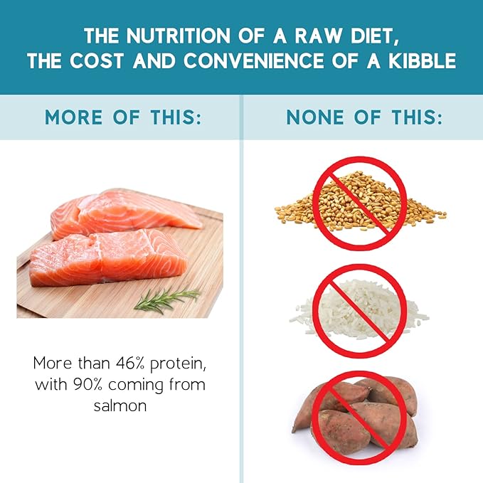 Ketona Salmon Recipe Adult Dry Dog Food, Natural, Low Carb (Only 5%), High Protein (46%), Grain-Free, The Nutrition of a Raw Diet with The Cost and Convenience of a Kibble; 24.2 lb