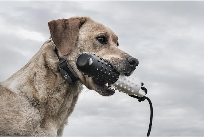 SportDOG Brand 425 Remote Trainers - 500 Yard Range E-Collar with Static, Vibrate and Tone - Waterproof, Rechargeable - Black (SD-425X) Dog Training Collar