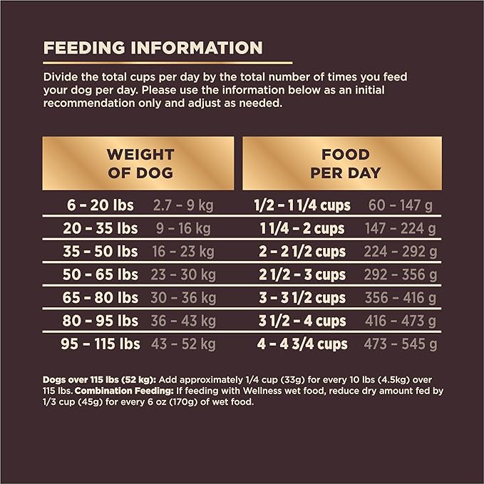 Wellness CORE+ Dry Dog Food with Wholesome Grains, Natural Ingredients, Made in USA with Real Freeze-Dried Meat (Adult, Turkey, 4 lbs)