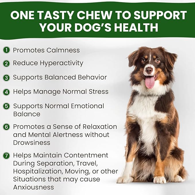 Calming Chews for Dogs | Hemp Anxiety Relief Treats | Melatonin for Dogs | Calm Relaxing Supplements for Separation Stress, Sleep, Nail Trimming, Storm, Barking, Canine Hyper Activity