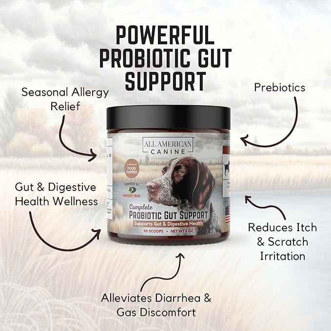 Complete Probiotic Gut Support - Prevents Digestive Gut Health, Boosts Immune System - Blend Helps Prevent Digestive Issues Diarrhea, Constipation, & Inflammatory 90 Serving - 5oz
