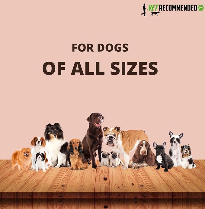 Premium Chicken Crisp Chips for Dogs Small, Medium and Large | 8oz Bag | No Artificial Preservatives, Colors or Flavors | Natural Treats - Dehydrated Chicken Jerky - Made in USA