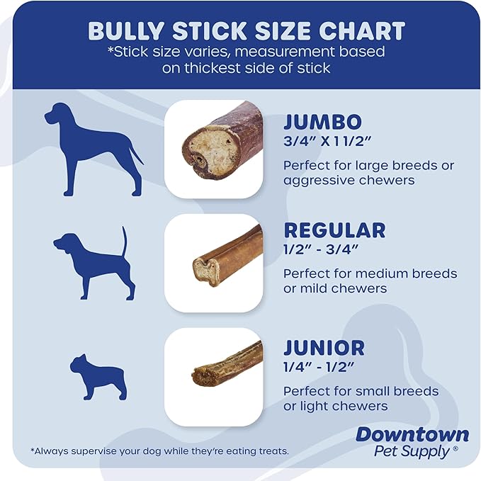 Downtown Pet Supply Bully Sticks for Dogs (6", 15-pack, Jumbo) Non-GMO, Grain Free, Rawhide Free Dog Chews Long Lasting Pizzle Sticks - Low Odor Bully Sticks for Large Dogs