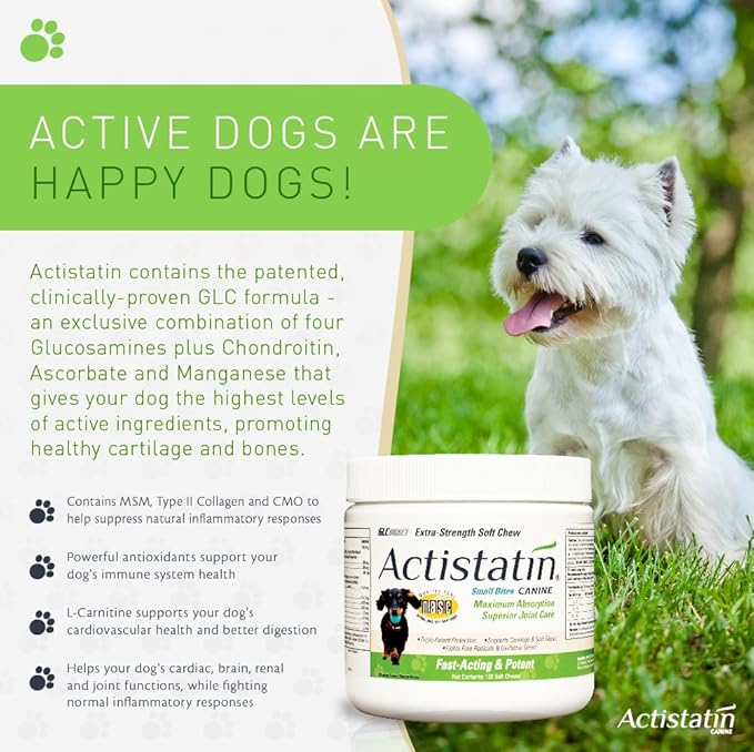 Canine Small Dog Soft Chews, 120ct – Patented Extra-Strength Joint, Cartilage, Soft Tissue Supplement: Glucosamine, Chondroitin, Manganese, MSM, L-Carnitine – High Absorption, Fast Results