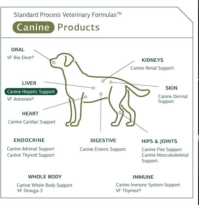 Standard Process - Canine Hepatic Support - Liver Metabolism Support for Dogs - 30 Grams