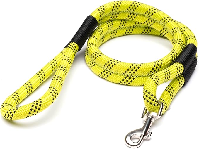 ROVERLUND Airline-Compliant Pet Carrier | includes Leash | Suitable for Pets up to 12.5lbs
