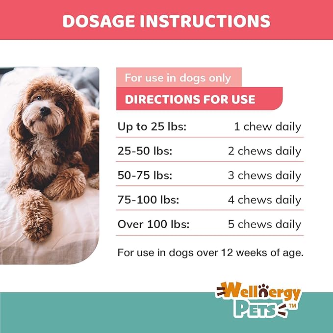 Natural Skin and Coat Allergy Support Soft Chews for Dogs – Anti-inflammatory and Anti-Itch Vitamins, Omega 3 6 9 + EPA, DHA Gold, Fish Oil - for Hot Spots, Seasonal Allergies, Dry, Itchy Skin 120ct.