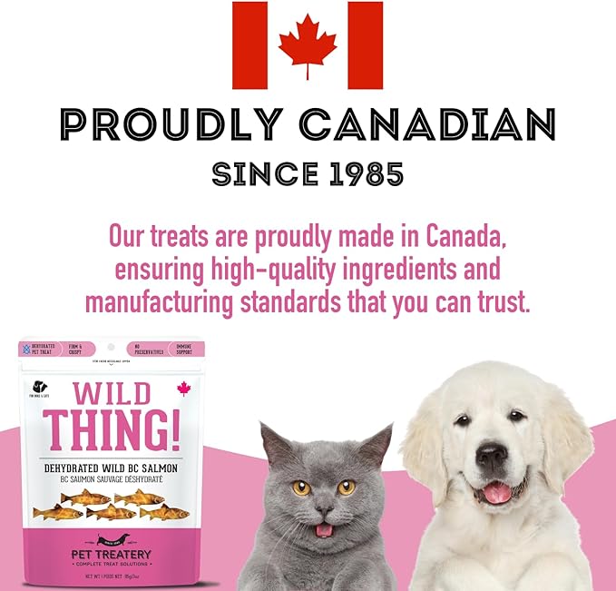 Dehydrated Wild Salmon Treats for Dogs & Cats (3 oz, Pack of 1) Single Ingredient to Maintain Nutrients Vitamins and Healthy Oils Made in Canada