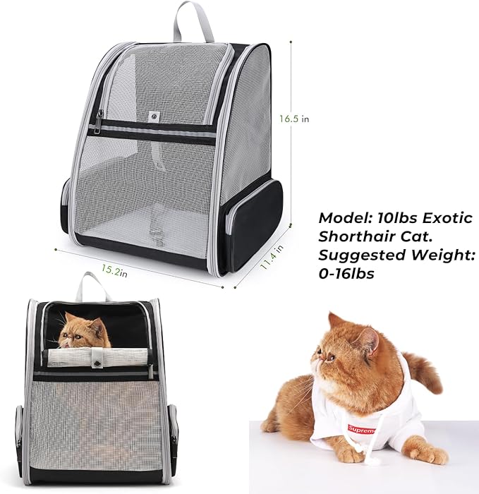 Lollimeow Cat Backpack Carrier, Ideal for Small Animals & Puppies, Outdoor Adventures, Vet Transport. Fully Ventilated Design for Ultimate Comfort On-The-Go