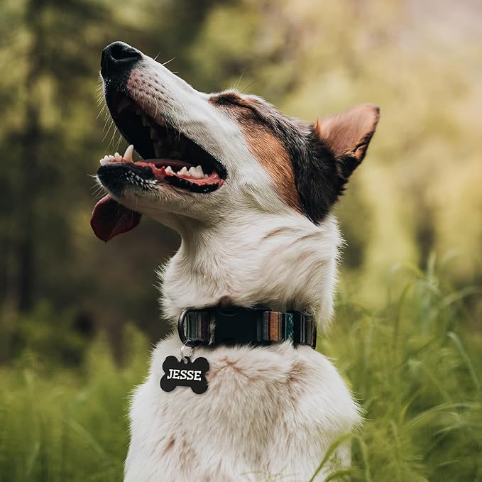 GoTags Dog Tags, Personalized Engraved Dog and Cat ID Tags for Pets, Custom Engraved on Both Sides, Stainless Steel, Rainbow Steel, Black Steel or Solid Brass, Bone Shape Dog ID Tags (Pack of 1)