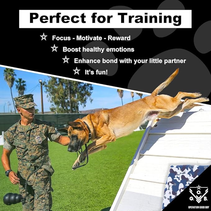 Operation Good Boy Dog Treats - 1/4" Beef Squares Bootcamp Bites | Natural, Farm-Raised Meat - Vet-Formulated AAFCO approved ingredients | Perfect Training Treats for Small to Large Dogs