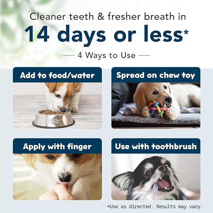 Brushless Organic Dog Toothpaste | Dog Breath Freshener | Dog Tooth Brushing Kit | Dog Teeth Cleaning | Reduce Plaque & Tartar | Vet Formulated (DR. DENTAL WAN Enzymatic Toothpaste for Dogs)