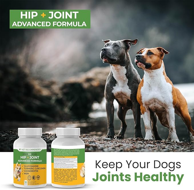 Advanced Hip & Joint Formula - 90 Mobility & Pain Relief Dog Chews - Glucosamine, Chondroitin, MSM, & Turmeric for Superior Joint Health